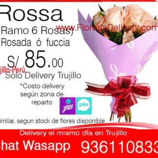 Ramo Rossa